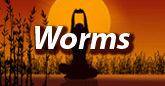Wellness und Massage in Worms